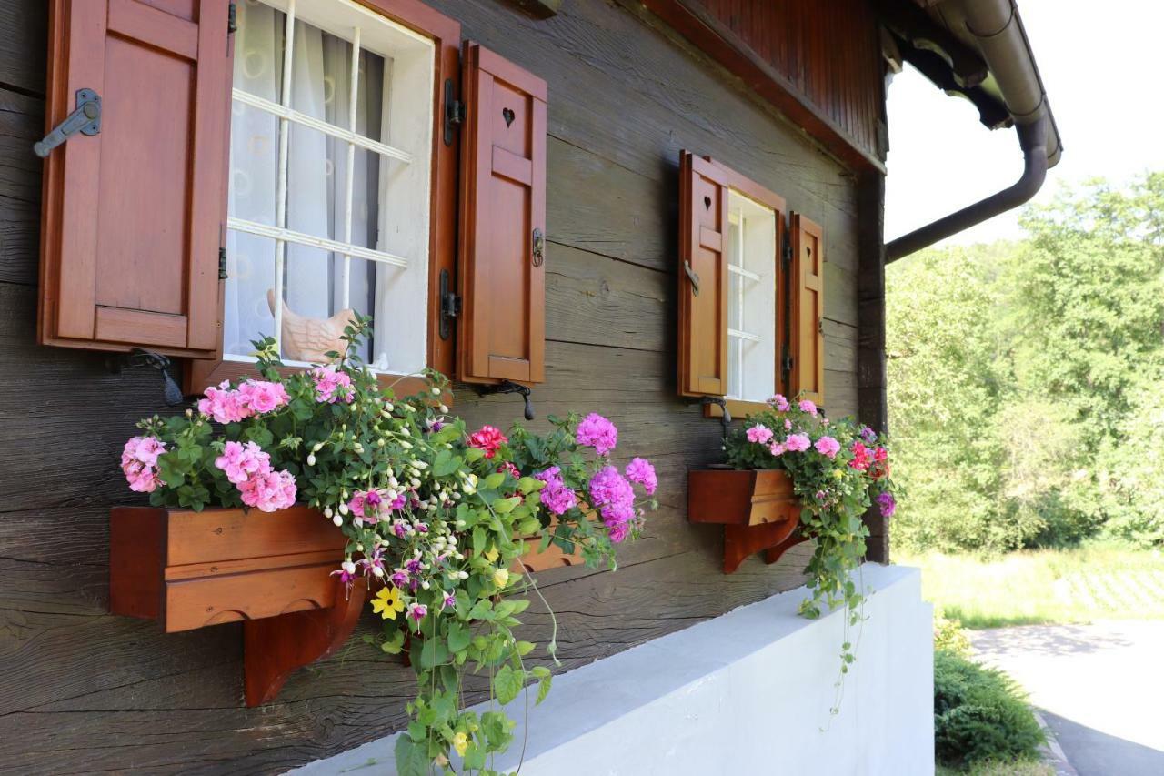 فيلا Ferienhaus Aurelia كيتسك إيم زاوزال المظهر الخارجي الصورة